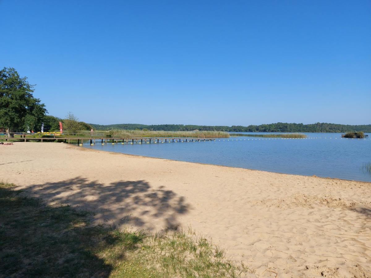 T2, 50M Du Lac, Piscine, Wifi, Jardin Terrasse Sans Vis-A-Vis, 1 A 4 Pers Aureilhan Kültér fotó