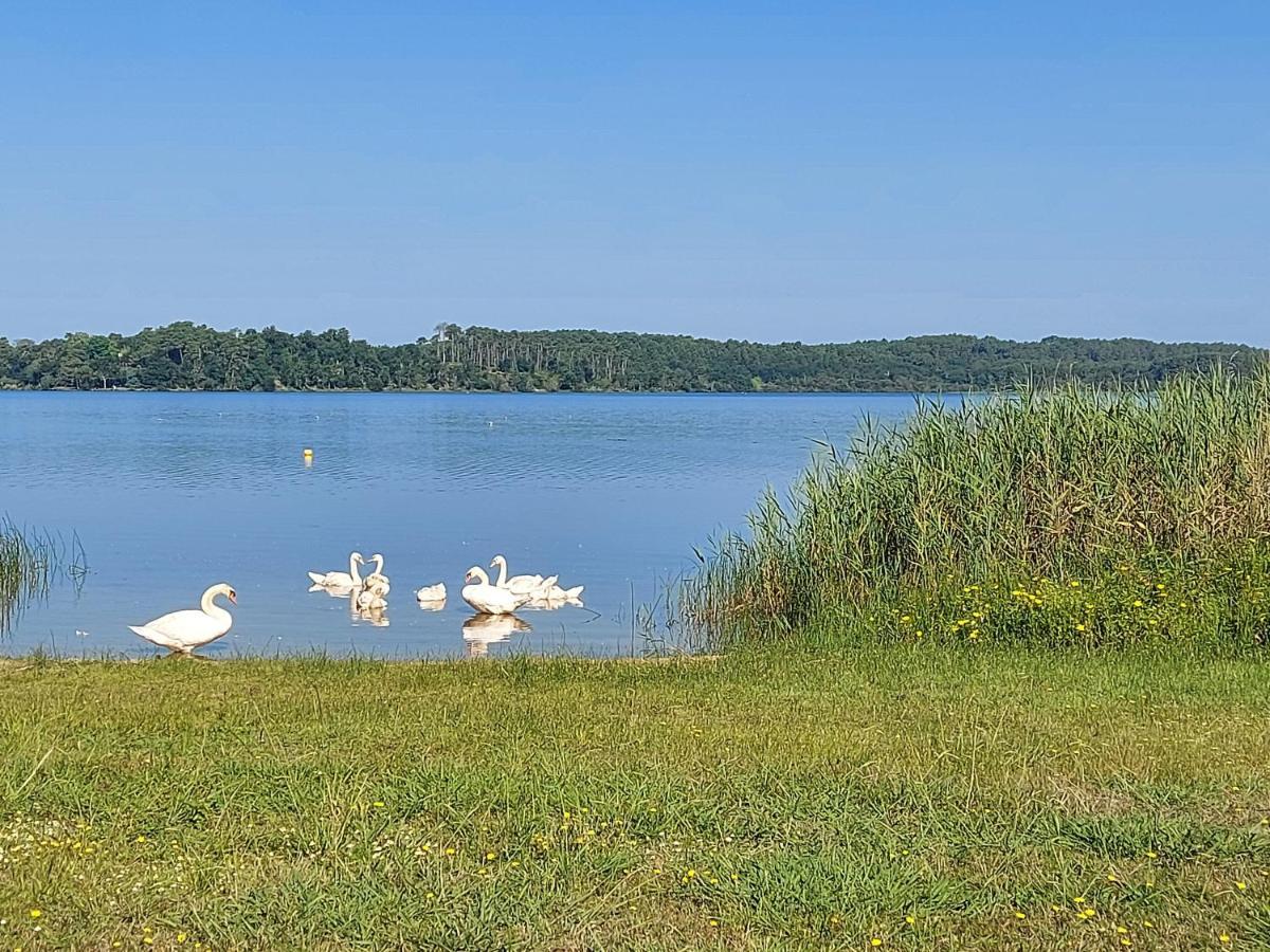 T2, 50M Du Lac, Piscine, Wifi, Jardin Terrasse Sans Vis-A-Vis, 1 A 4 Pers Aureilhan Kültér fotó