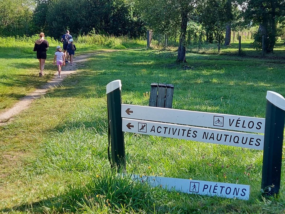 T2, 50M Du Lac, Piscine, Wifi, Jardin Terrasse Sans Vis-A-Vis, 1 A 4 Pers Aureilhan Kültér fotó