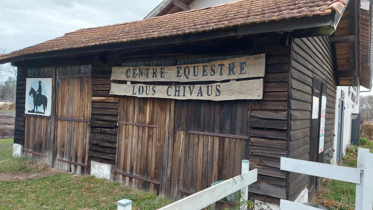 T2, 50M Du Lac, Piscine, Wifi, Jardin Terrasse Sans Vis-A-Vis, 1 A 4 Pers Aureilhan Kültér fotó