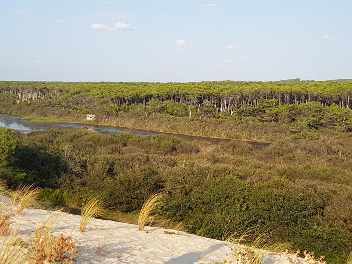 T2, 50M Du Lac, Piscine, Wifi, Jardin Terrasse Sans Vis-A-Vis, 1 A 4 Pers Aureilhan Kültér fotó